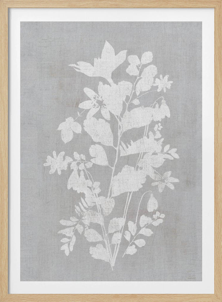 Botanische Illustratie 2 | Poster