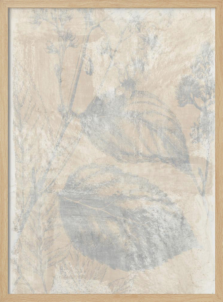 Woodsia 1 | Poster