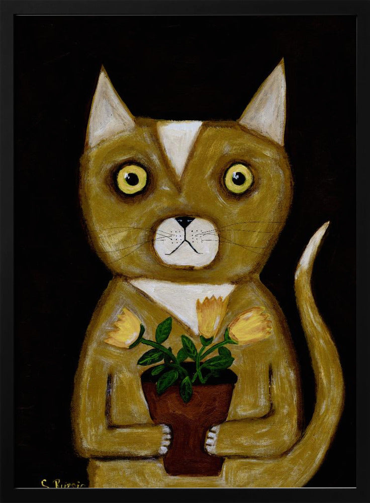 Potplant Kat zwarte achtergrond | Poster