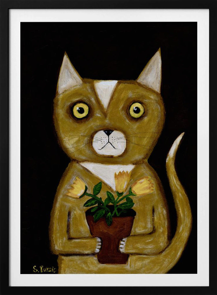 Potplant Kat zwarte achtergrond | Poster