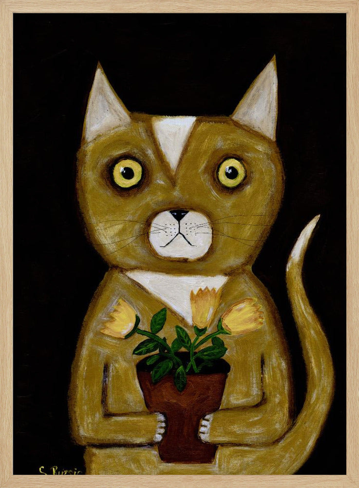 Potplant Kat zwarte achtergrond | Poster