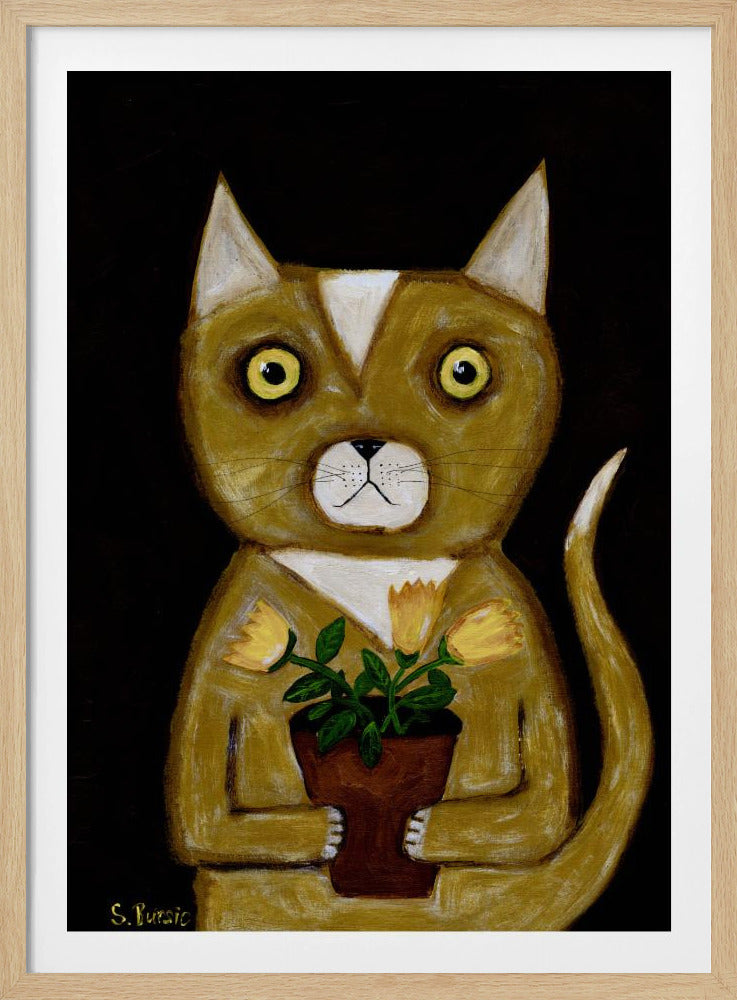 Potplant Kat zwarte achtergrond | Poster