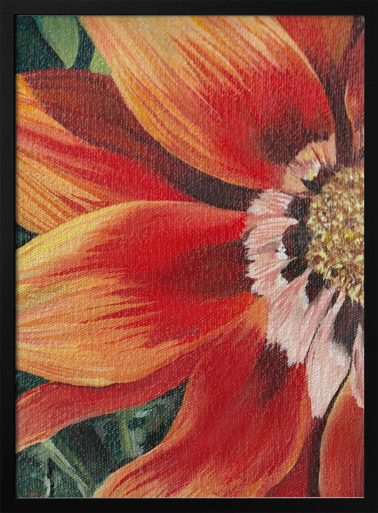 Gazania 1 By Viccy Wanliss | Poster