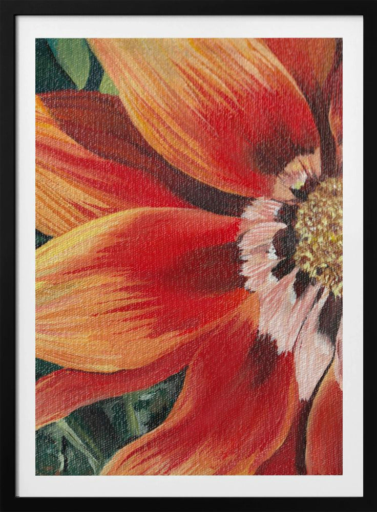 Gazania 1 By Viccy Wanliss | Poster
