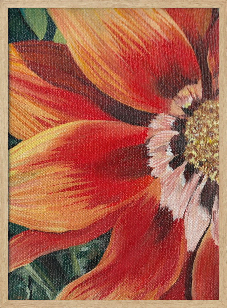 Gazania 1 By Viccy Wanliss | Poster