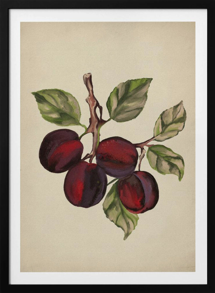 Vintage fruitcollectie | Poster