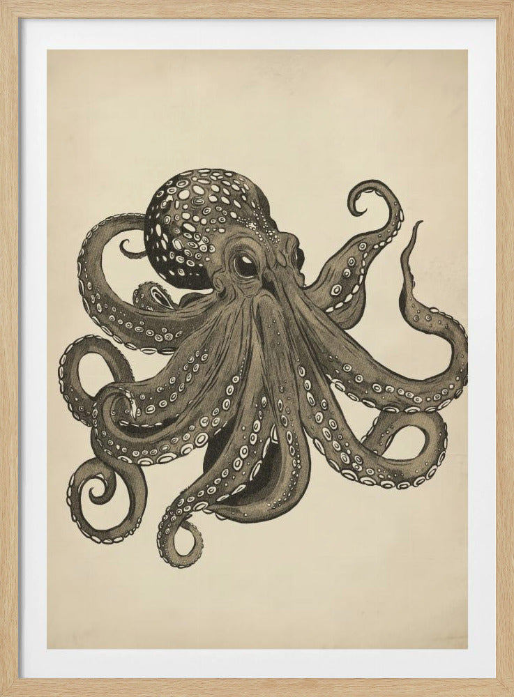 Octopus vintage handgeschilderd | Poster