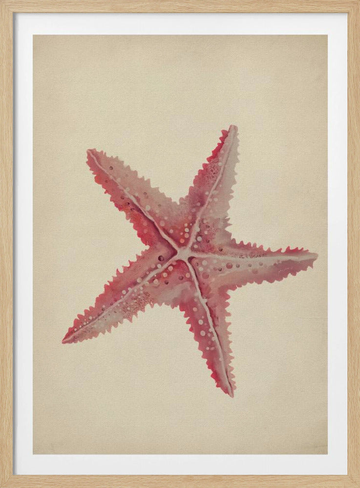 Vintage zeester schilderij | Poster