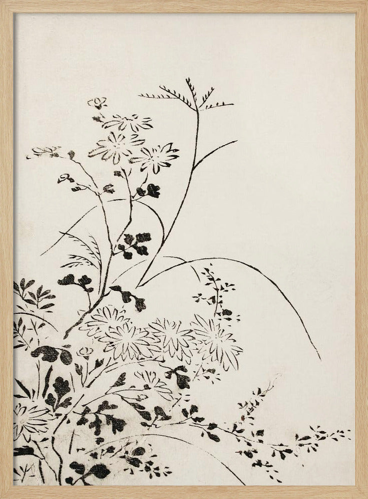 Herfstbloemen en grassen (1762) | Poster
