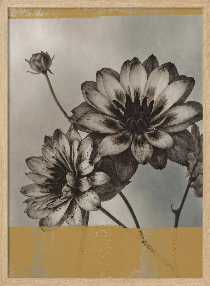 Vintage Bloemen Nr. 6 | Poster