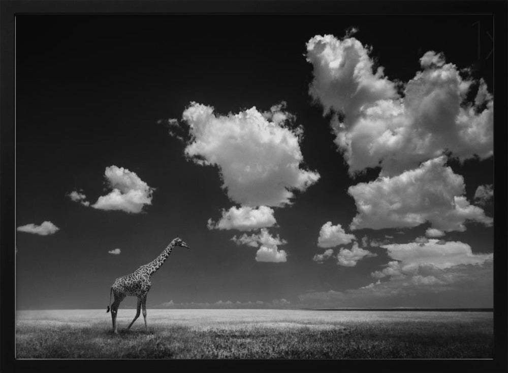 Weg met de wolken | Poster