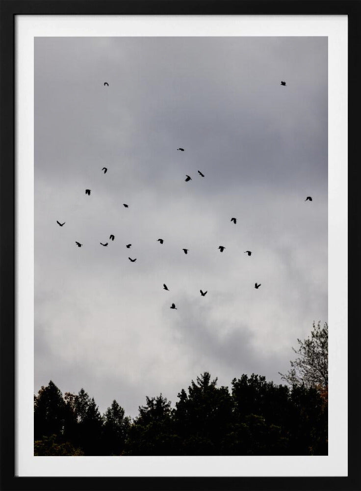 Vogels en Wolken 1 | Poster