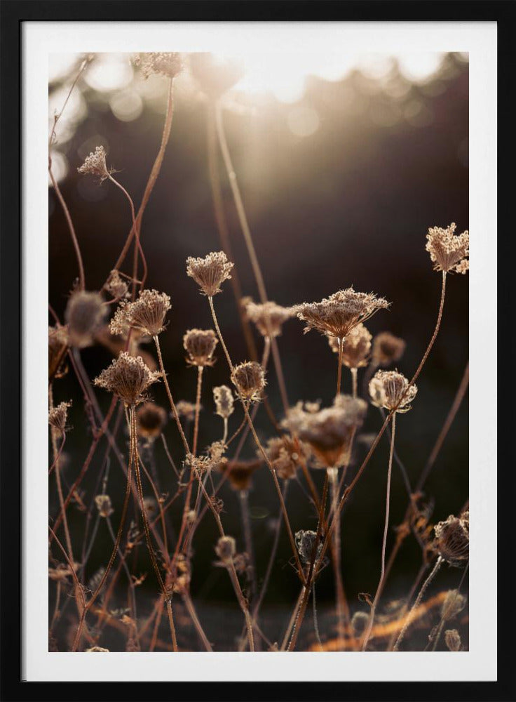 Warm Winterlicht 2 | Poster