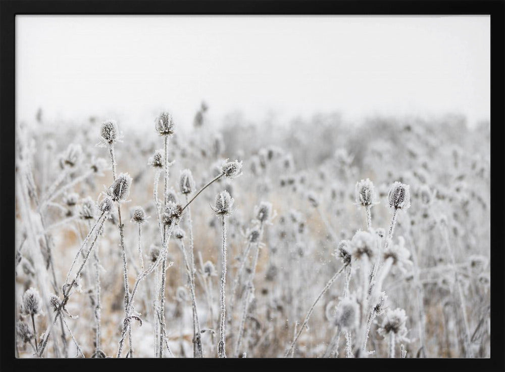 Winterveld 5 | Poster