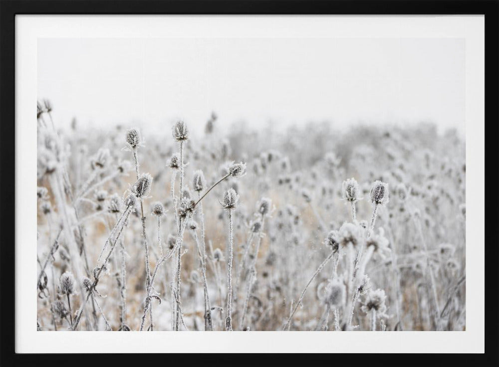 Winterveld 5 | Poster