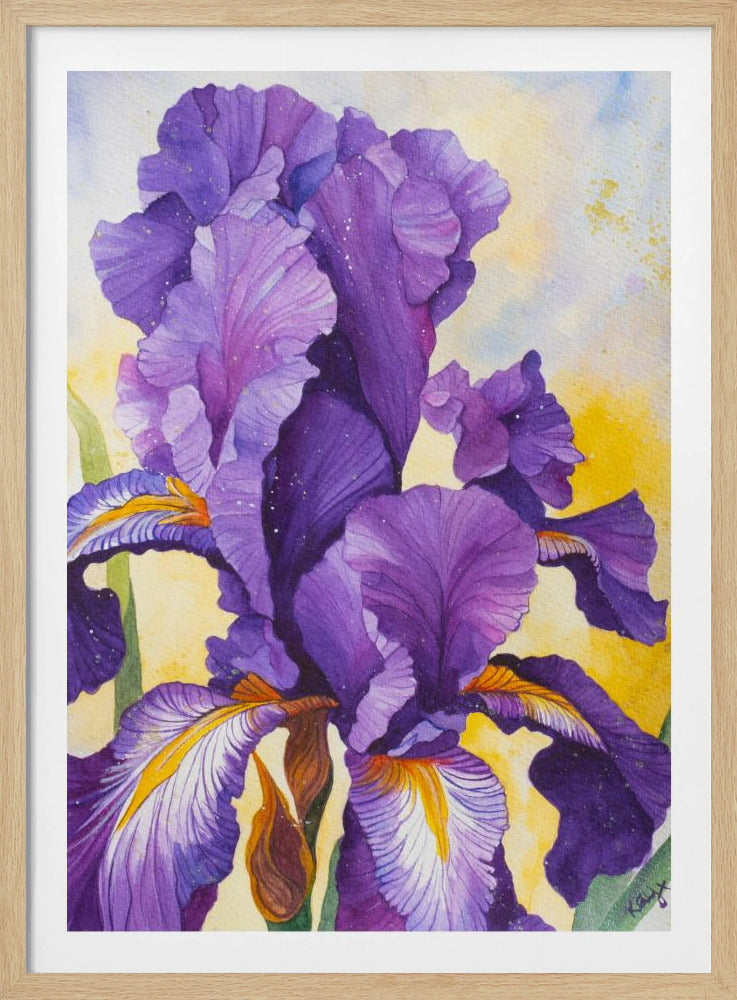 Iris aquarel | poster