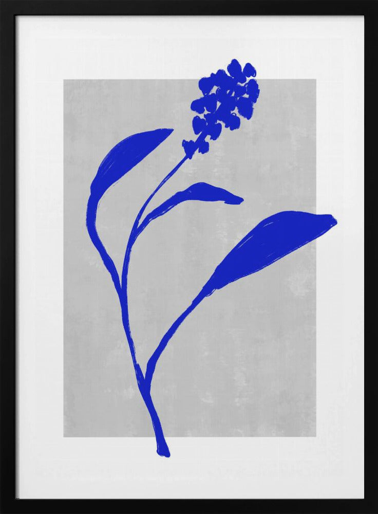 Silhouet van een azuurblauwe bloesem | Poster