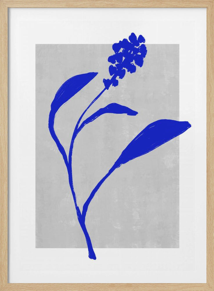 Silhouet van een azuurblauwe bloesem | Poster