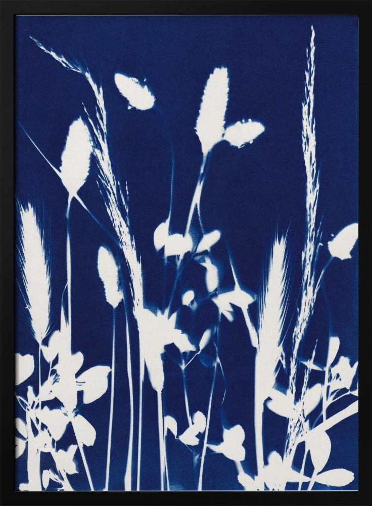 Cyaan Herbarium #1 | Poster