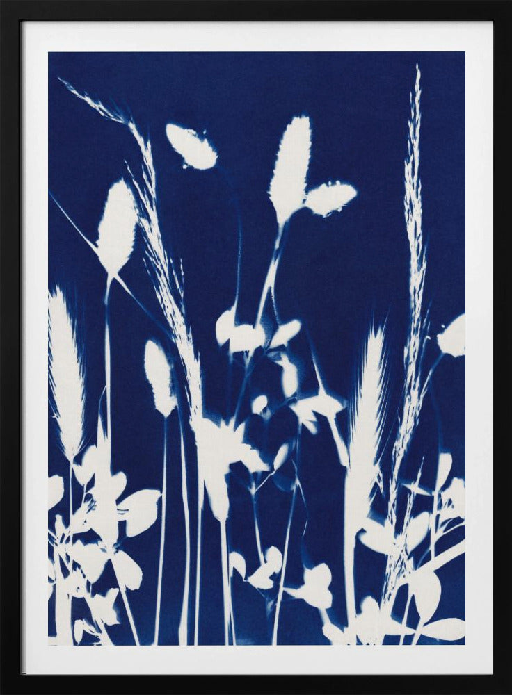 Cyaan Herbarium #1 | Poster