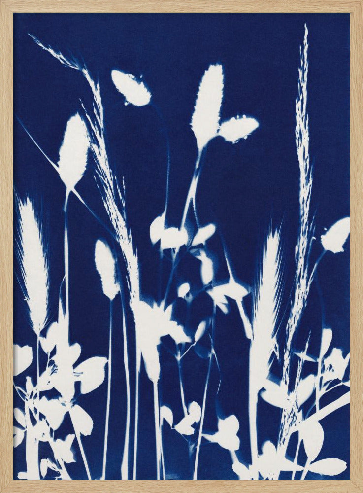 Cyaan Herbarium #1 | Poster