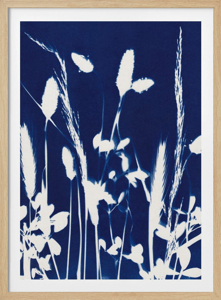 Cyaan Herbarium #1 | Poster