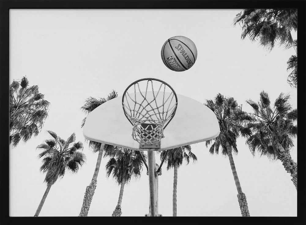 Basketbal | Poster