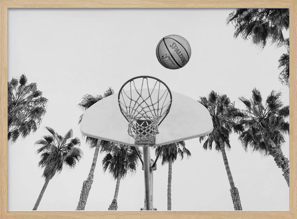 Basketbal | Poster