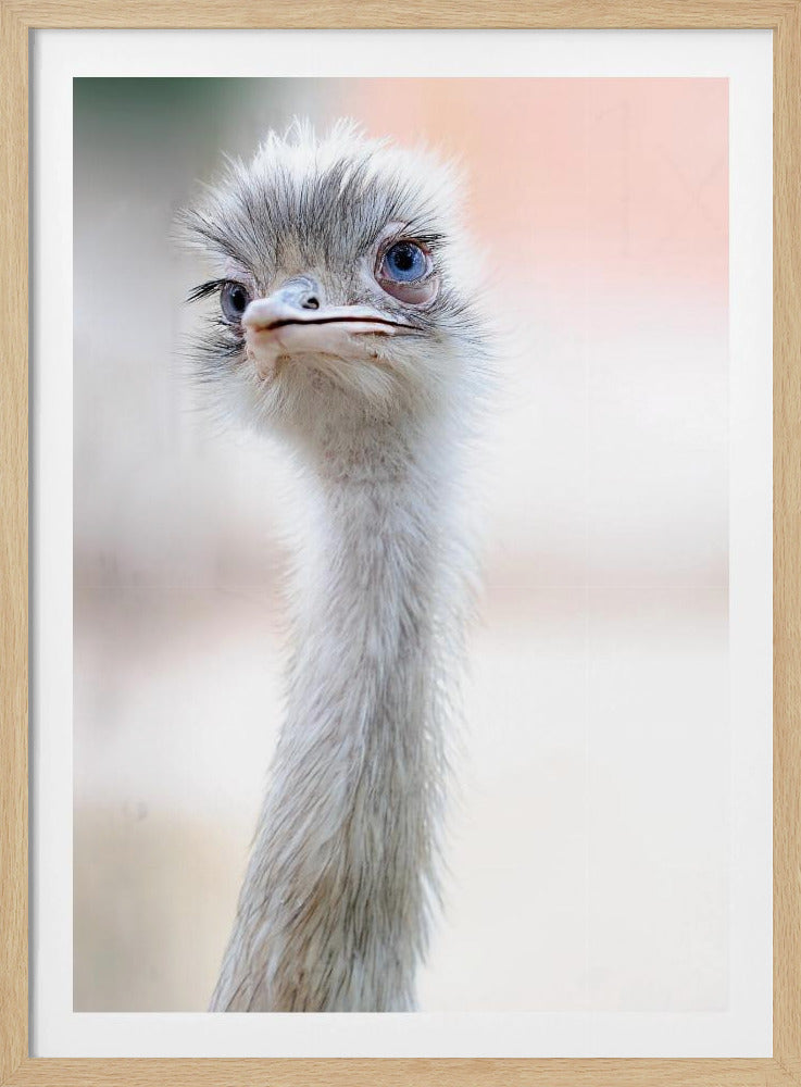 natuurlijke schoonheid | Poster
