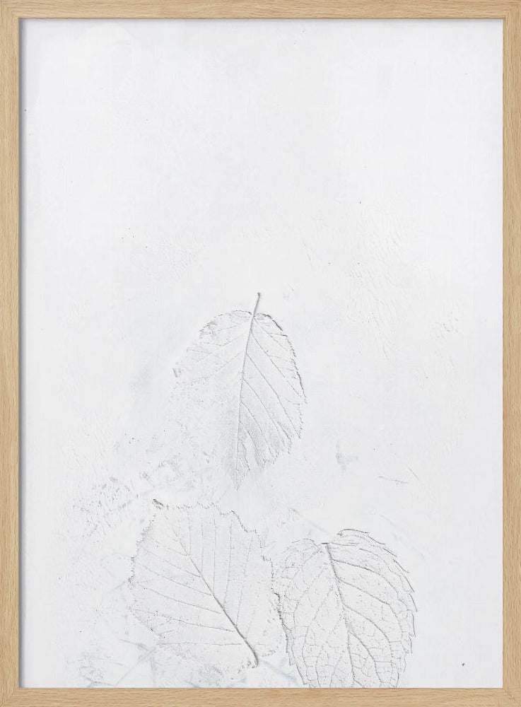 Minimale bladeren | Poster