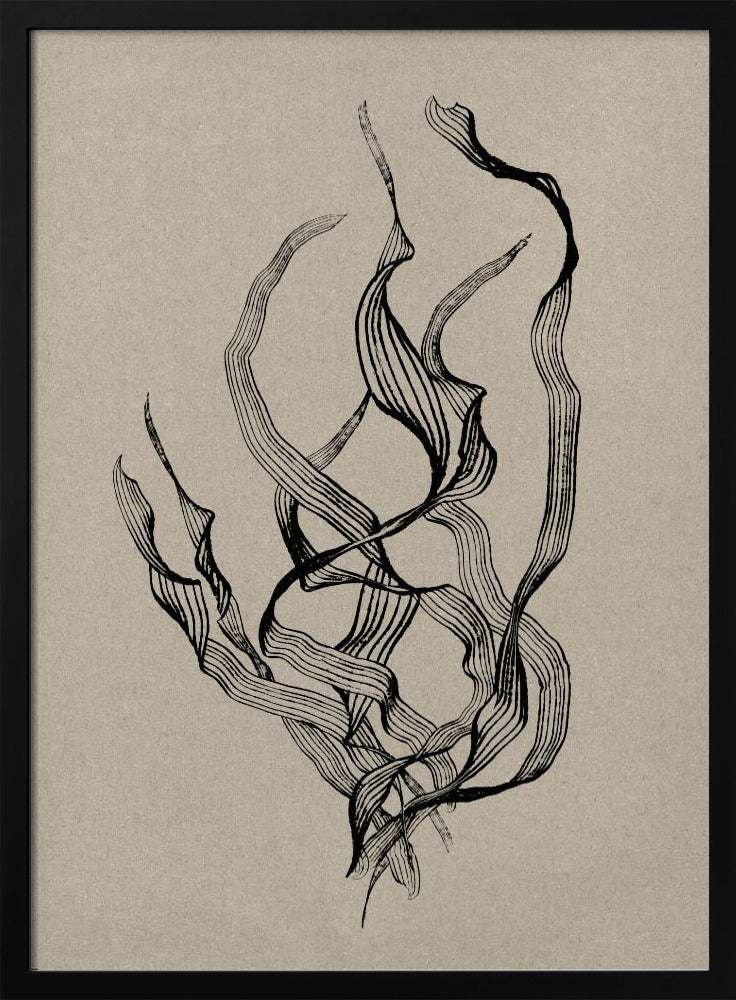 Delicaat | Poster