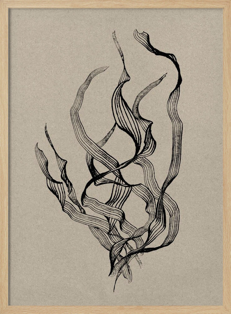 Delicaat | Poster