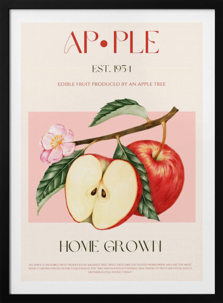 Geoogste appels | Poster