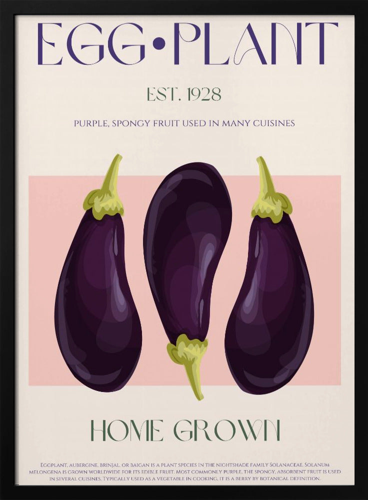 Drie levendige paarse aubergines | Poster