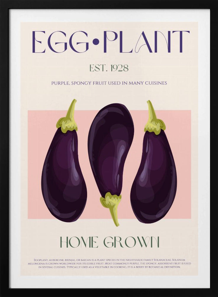 Drie levendige paarse aubergines | Poster