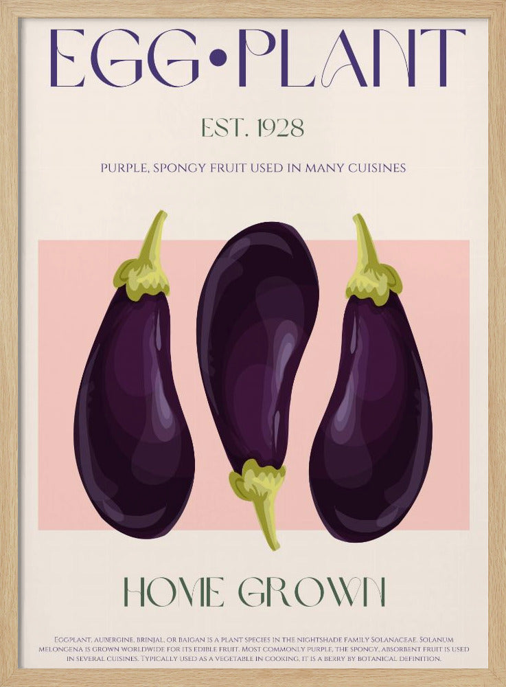 Drie levendige paarse aubergines | Poster