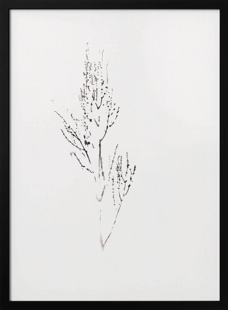 Planten | Poster