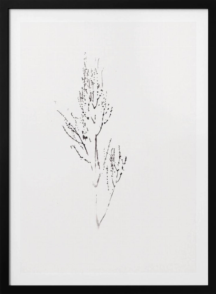 Planten | Poster