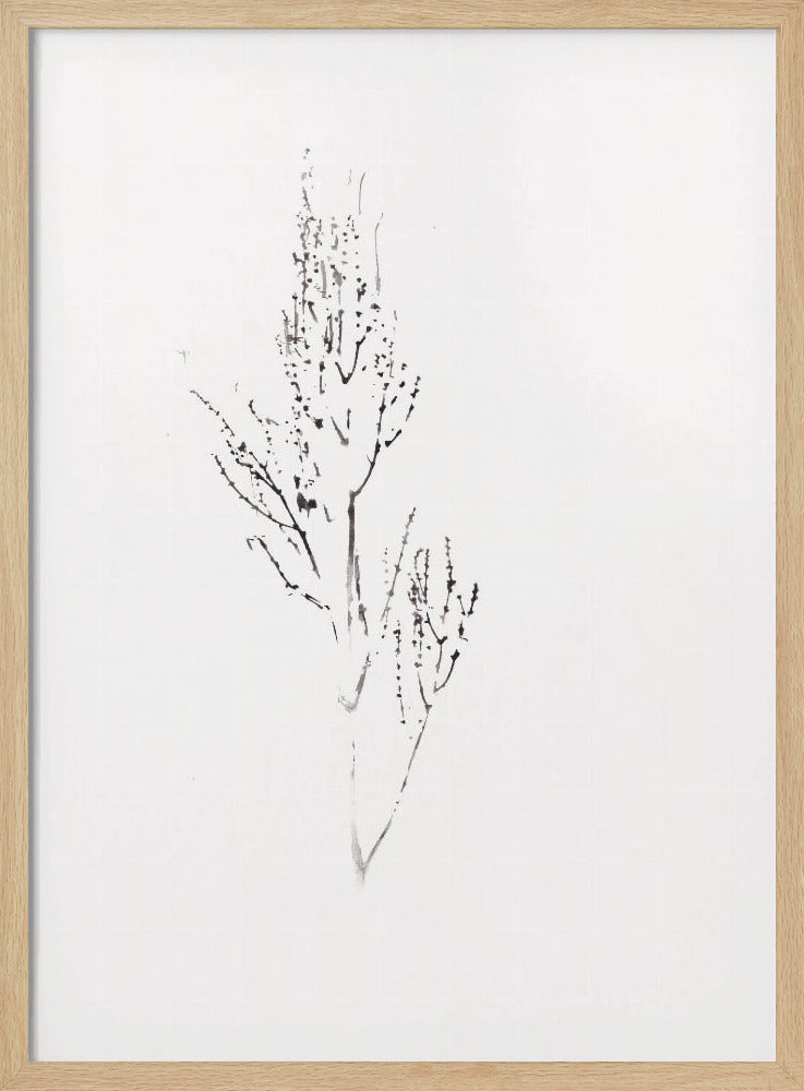 Planten | Poster