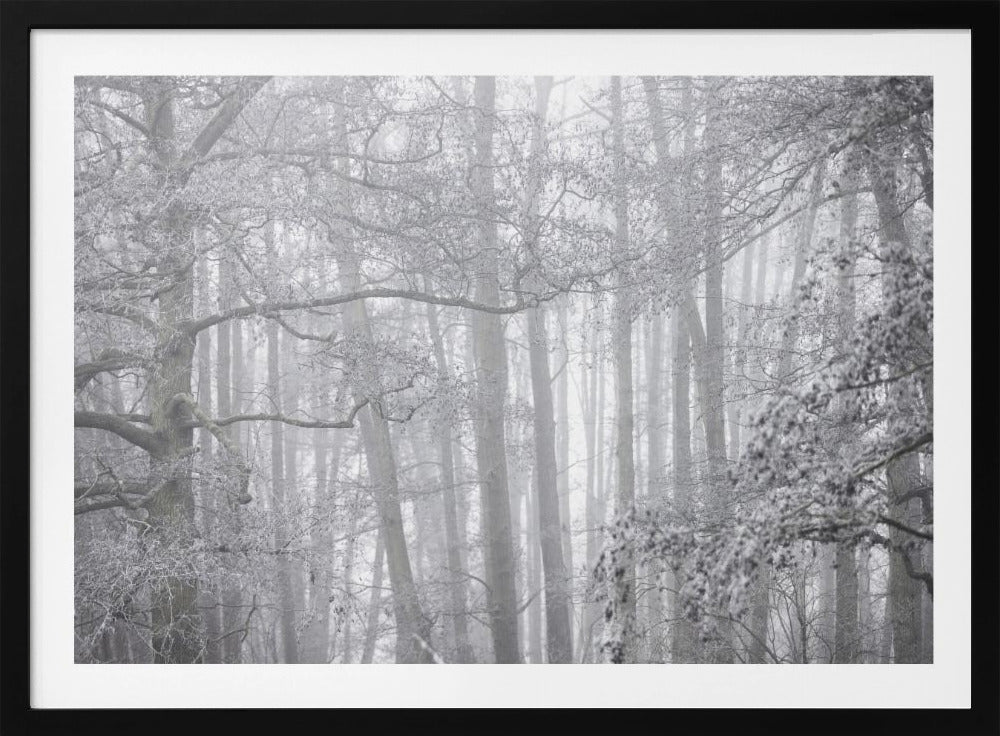 Mistige winterochtend 2 | Poster