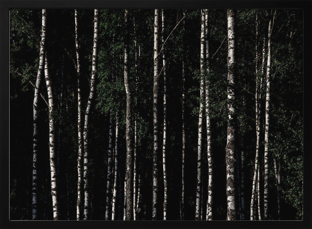 Ergens in Zweden 4 | Poster