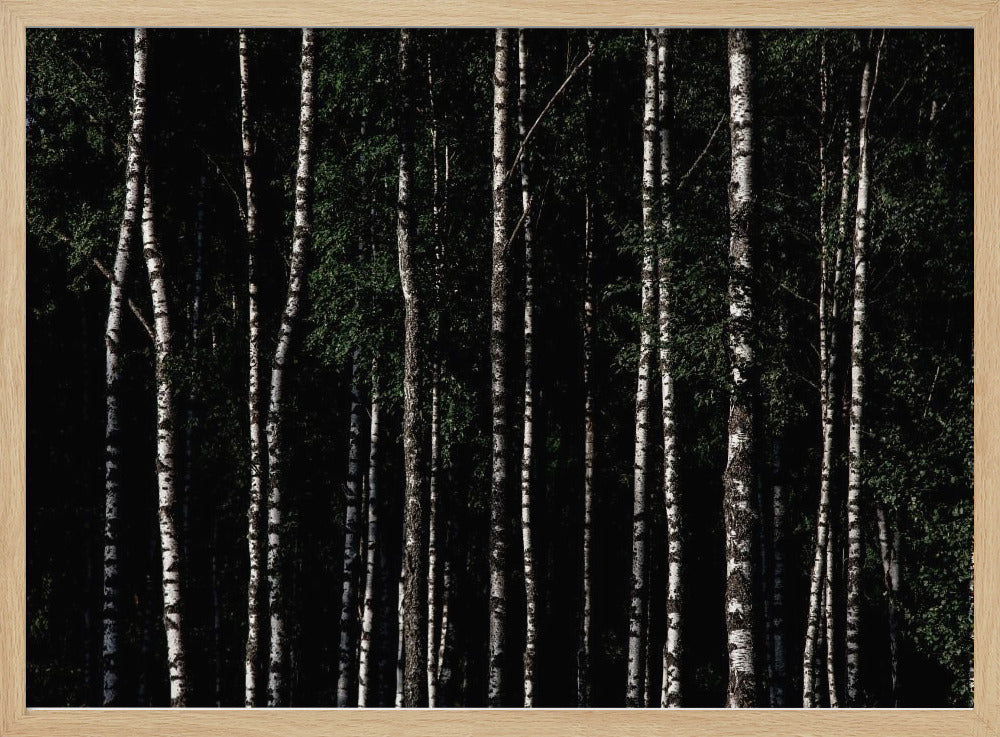 Ergens in Zweden 4 | Poster