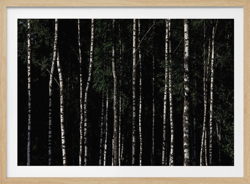 Ergens in Zweden 4 | Poster
