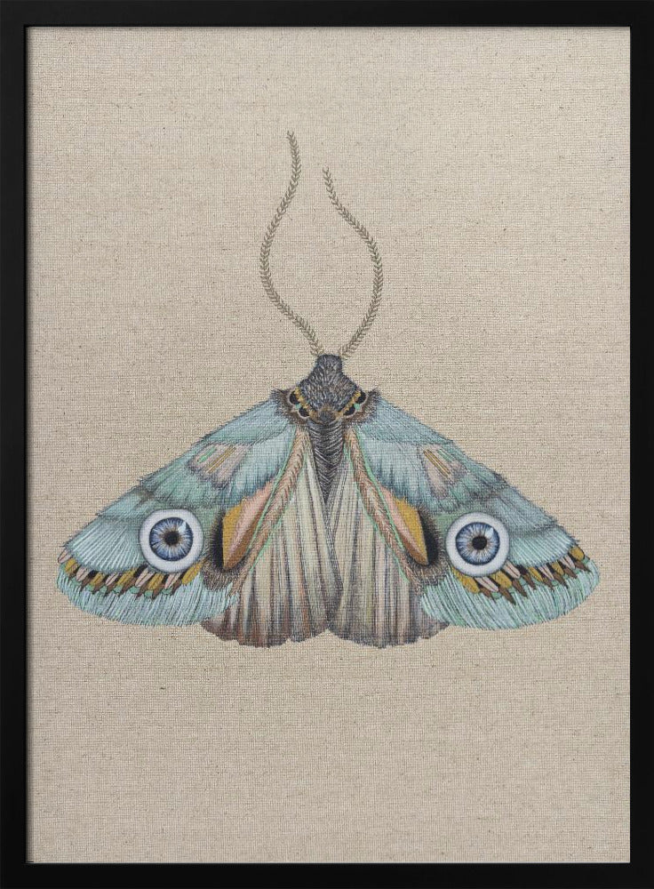 Moth | Poster