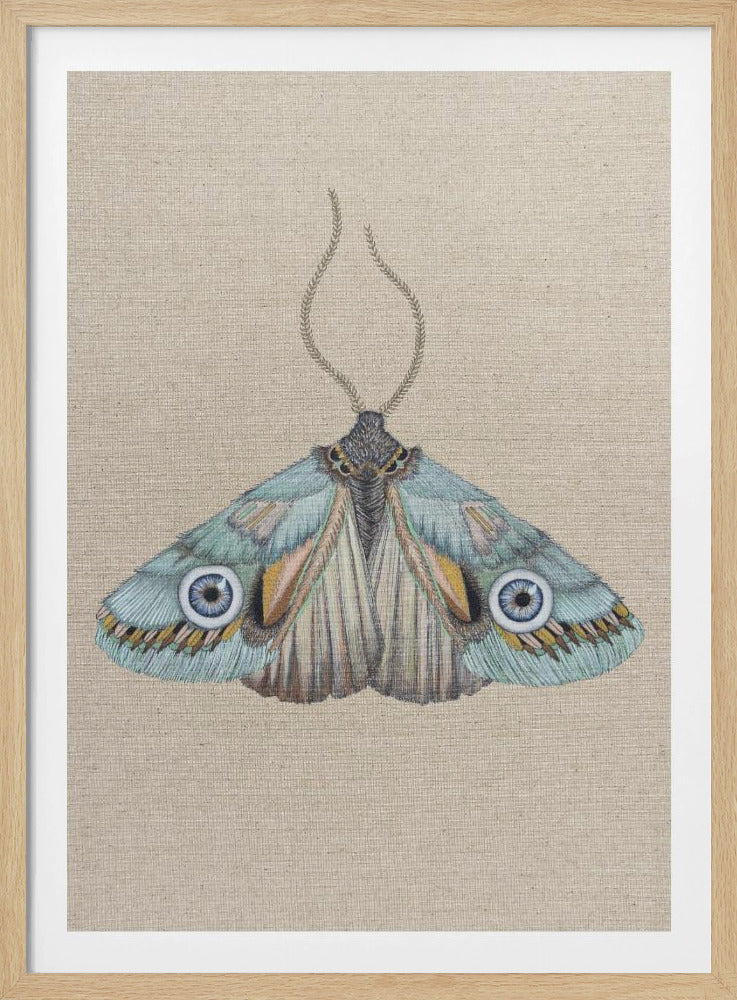 Moth | Poster