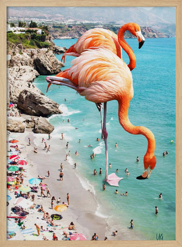 Flamingo's op het strand | Poster
