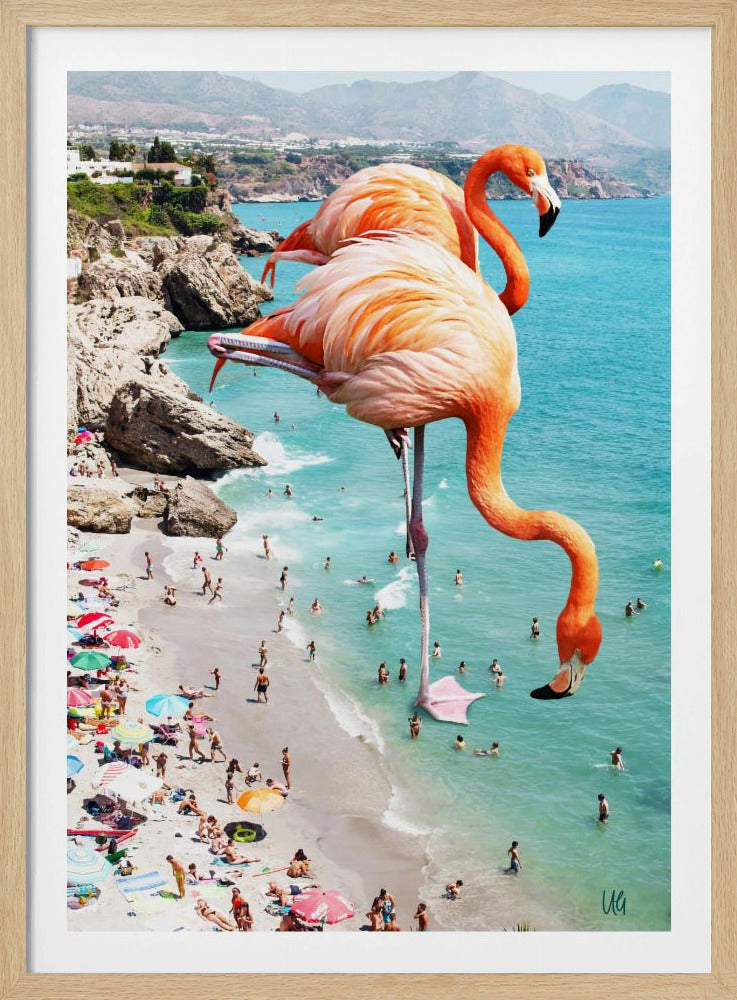 Flamingo's op het strand | Poster