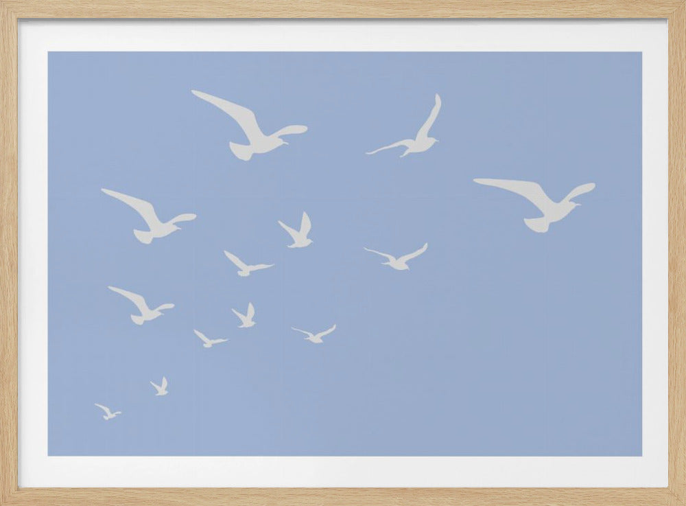 Meeuwen Blauwe Achtergrond | Poster
