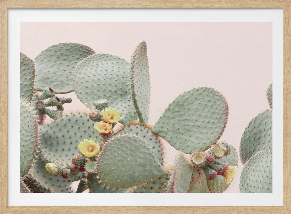 Bloeiende Cactus | Poster