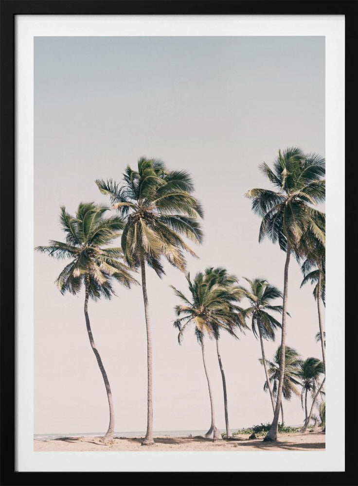 Blozende tropische bomen | Poster